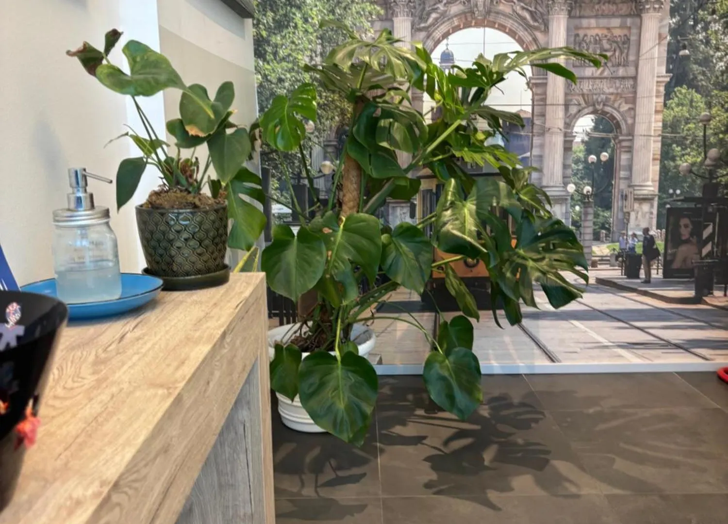 Enjoy Garden - Flavio Baracchini 9 - Rooms contacts